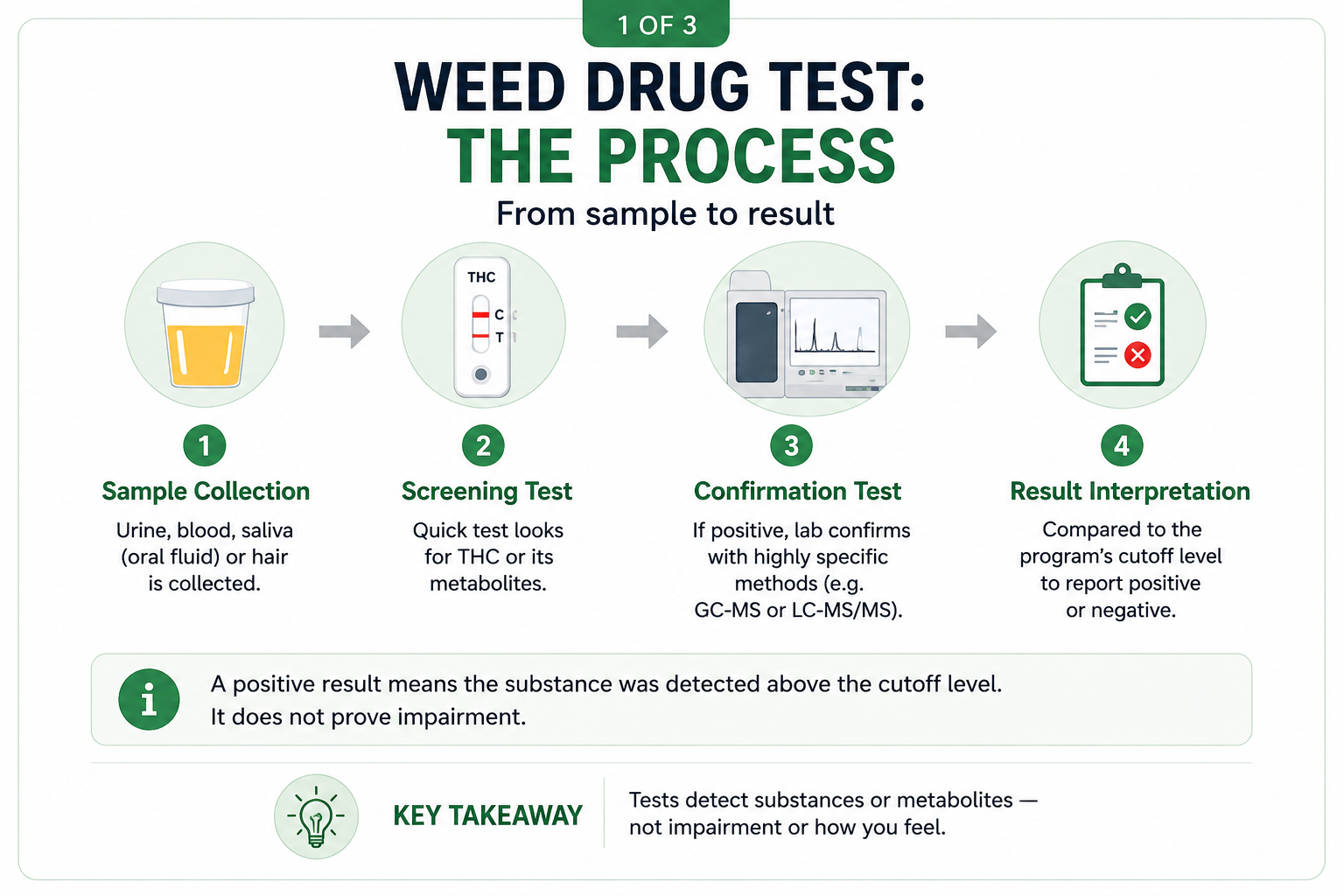 Weed drug test process from sample collection to screening, confirmation, and result interpretation