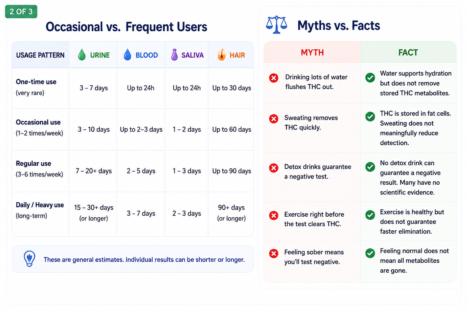 Infographic comparing occasional versus frequent cannabis users across urine, blood, saliva, and hair testing windows, alongside common THC detection myths and evidence-based facts.