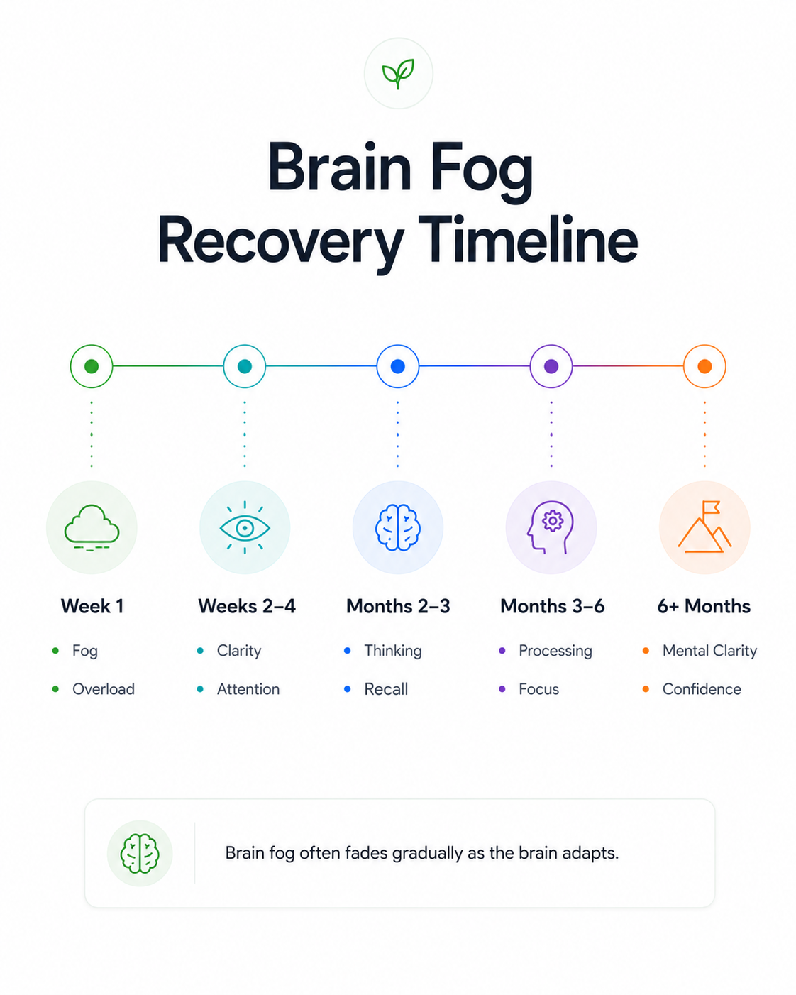 Brain fog recovery timeline after quitting weed, showing fog and overload in week 1, clarity and attention in weeks 2 to 4, thinking and recall in months 2 to 3, processing and focus in months 3 to 6, and mental clarity and confidence after 6 months.