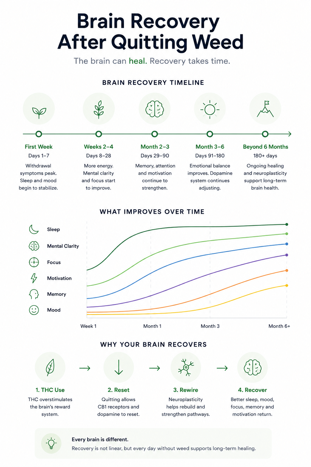 Infographic showing brain recovery after quitting weed, including the first week, weeks 2 to 4, months 2 to 3, months 3 to 6, and beyond 6 months.