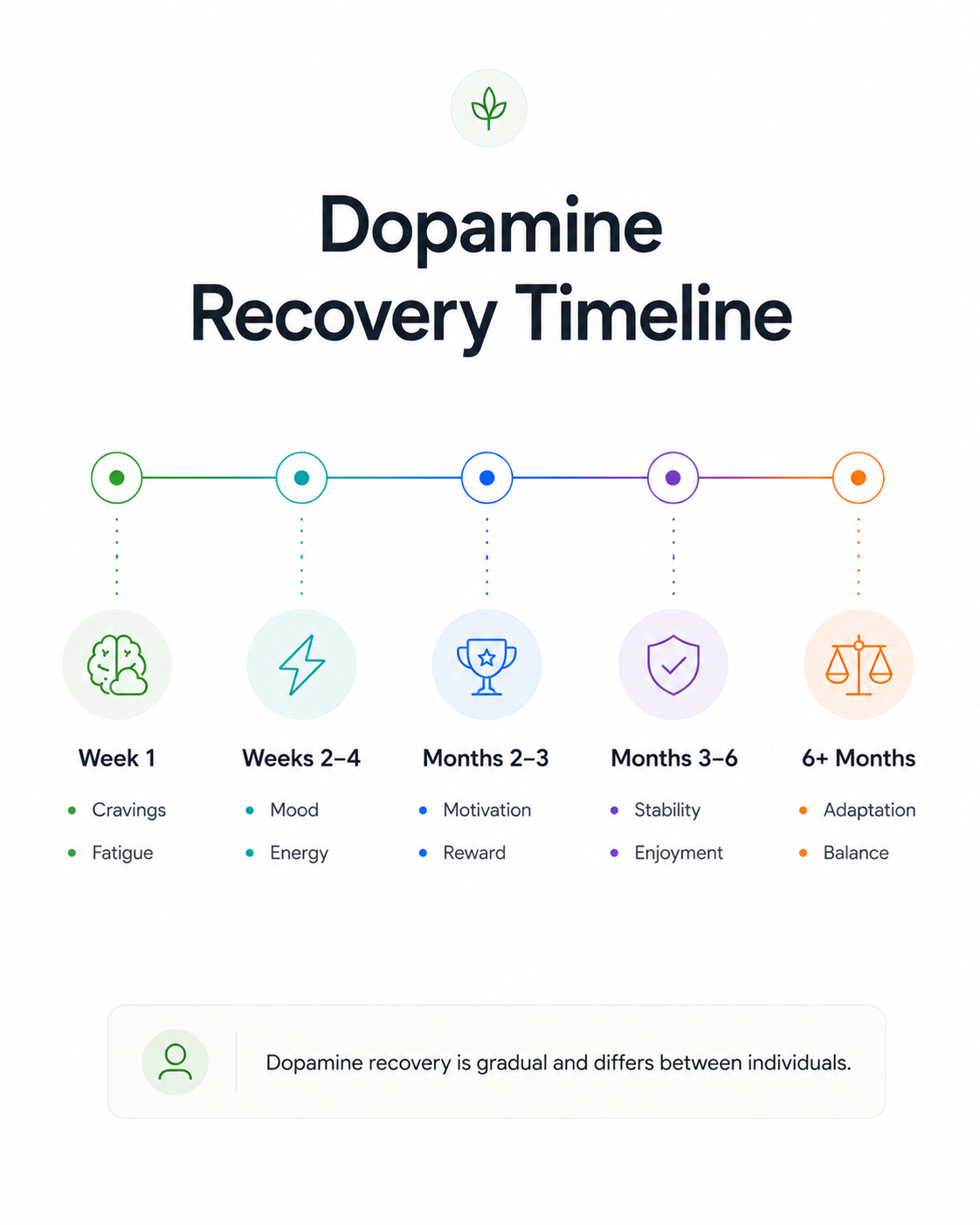 Dopamine recovery timeline after quitting weed, showing cravings and fatigue in week 1, mood and energy in weeks 2 to 4, motivation and reward in months 2 to 3, stability and enjoyment in months 3 to 6, and adaptation and balance after 6 months.