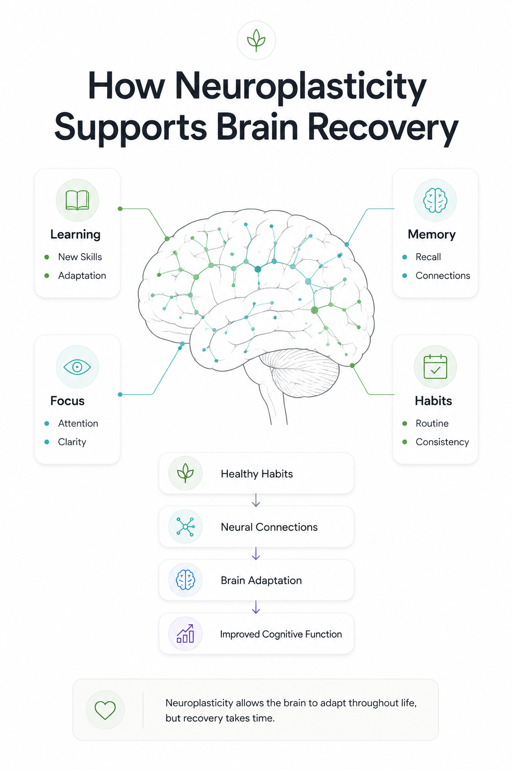 Infographic showing how neuroplasticity supports brain recovery after quitting weed through learning, focus, memory, habits, healthy routines, neural connections, brain adaptation, and improved cognitive function.