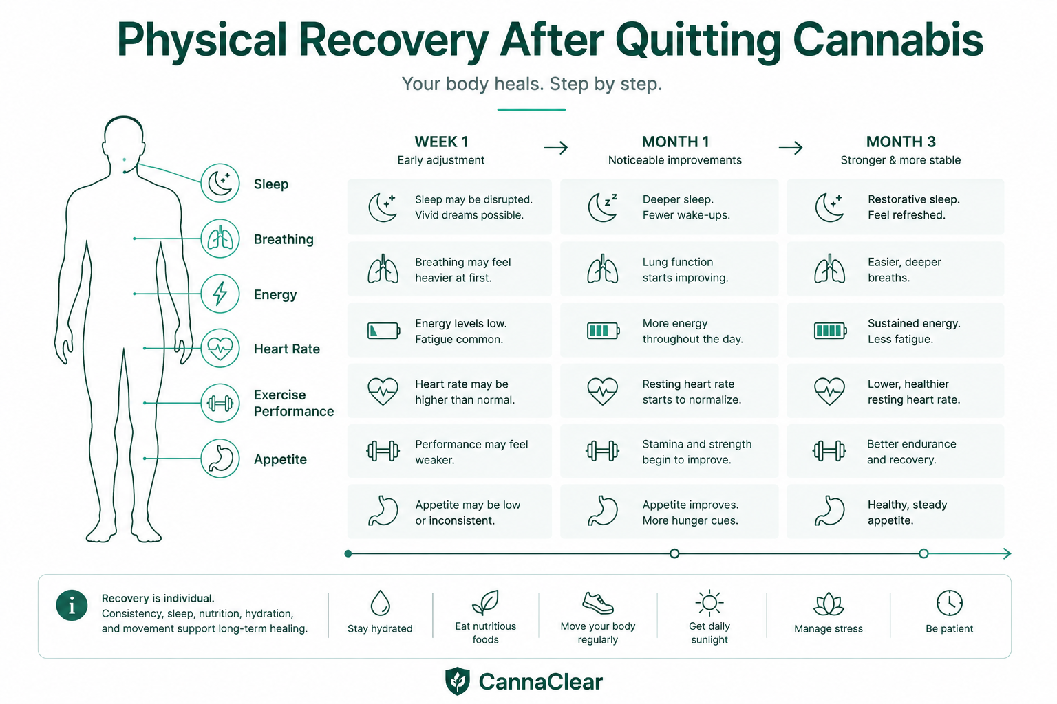 Physical recovery after quitting weed infographic showing appetite, energy, sleep, and body-level improvements over time.