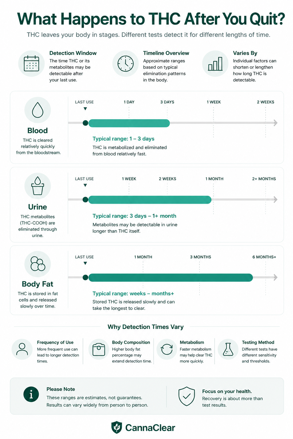 THC recovery in blood infographic explaining early blood-level decline versus longer-term withdrawal and recovery after quitting weed.