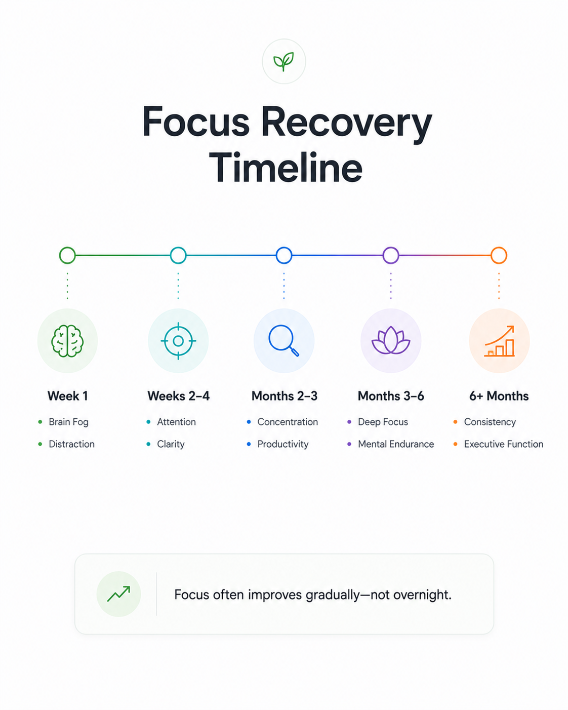 Infographic showing the focus recovery timeline after quitting weed, including week 1, weeks 2 to 4, months 2 to 3, months 3 to 6, and beyond 6 months.