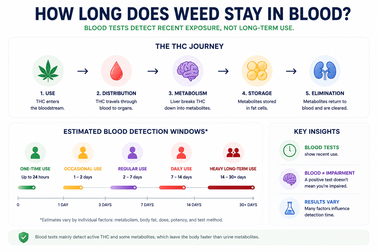Infographic explaining how long weed stays in blood, showing the THC journey through blood and tissues, estimated detection windows by use pattern, and the key point that blood does not automatically equal impairment.