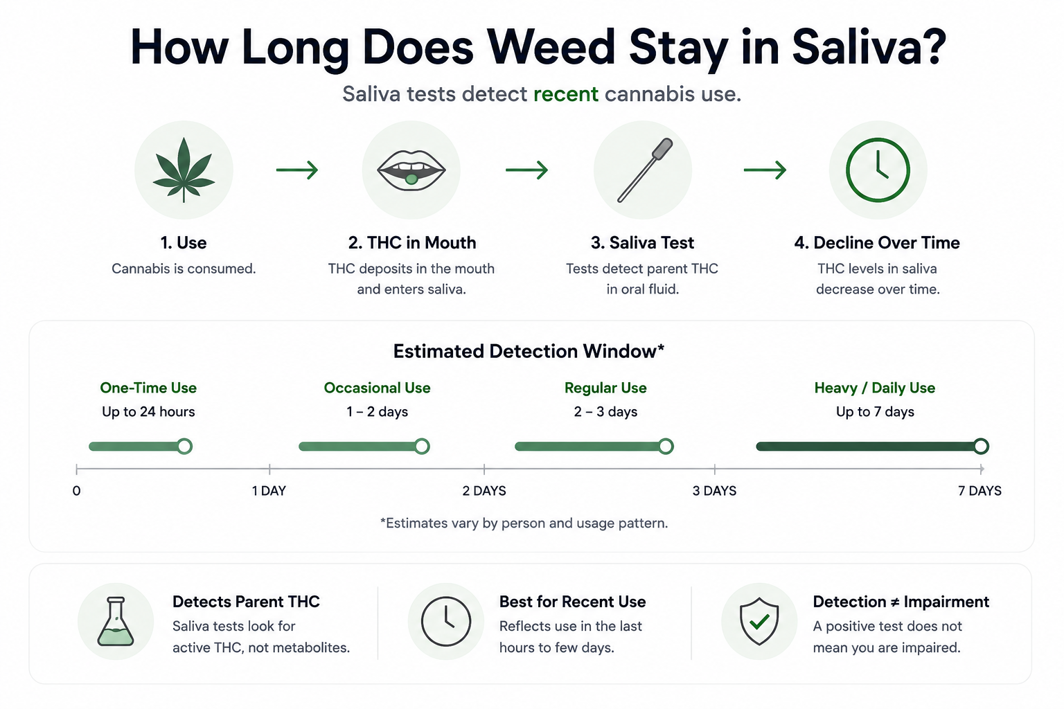 Infographic explaining how long weed stays in saliva, including THC in the mouth, saliva testing, decline over time, estimated detection windows, and the difference between detection and impairment.